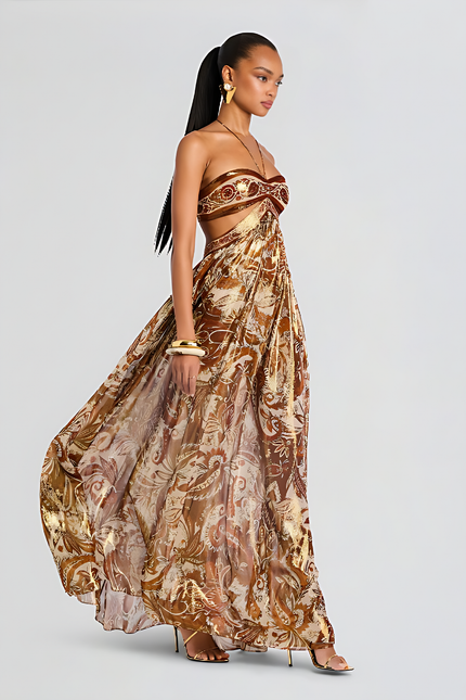 Paloma Printed Maxi Dress